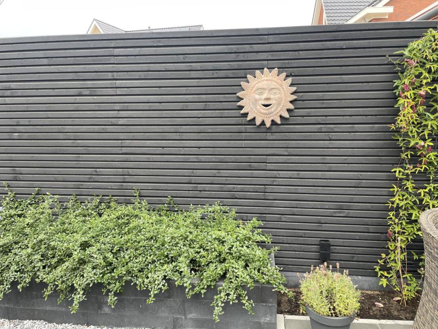 Vuren Zwart rhombus profiel